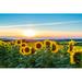 Gracie Oaks Sunflower Field - Wrapped Canvas Photograph Canvas in Blue/Green/Yellow | 8 H x 12 W x 1.25 D in | Wayfair