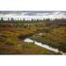 Millwood Pines Forest-Tundra by Evgenii Mitroshin - Wrapped Canvas Photograph Canvas in White | 24 H x 36 W x 1.25 D in | Wayfair