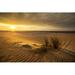 Highland Dunes Sand Dunes on Beach by Maniscule - Wrapped Canvas Photograph Metal in Brown/Orange/Yellow | 32 H x 48 W x 1.25 D in | Wayfair