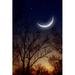Ebern Designs Night Sky w/ Moon - Wrapped Canvas Photograph Canvas in Black | 30 H x 20 W x 1.25 D in | Wayfair A78AE9FF692D4FA8B297F101C850D4B6