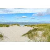 Highland Dunes Beach and Sand Dunes by Ah Fotobox - Wrapped Canvas Photograph Canvas in Brown/Green | 8 H x 12 W x 1.25 D in | Wayfair