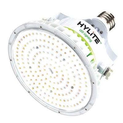HyLite 00339 - HL-LS-80WD-40-E39-50K Directional Flood HID Replacement LED Light Bulb