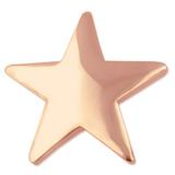 Classic Shiny Copper Star Lapel Pin