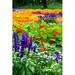 Ebern Designs Flower Bed - Wrapped Canvas Photograph Canvas in Green/Indigo/Orange | 30 H x 20 W x 1.25 D in | Wayfair