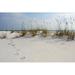 Highland Dunes Steps Along Beach Dunes - Wrapped Canvas Photograph Canvas in White | 12 H x 18 W x 1.25 D in | Wayfair