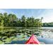 Ebern Designs Lake w/ Lily Pads - Wrapped Canvas Photograph Canvas in Blue/Green/Red | 8 H x 12 W x 1.25 D in | Wayfair
