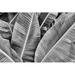 Bay Isle Home™ Banana Palm Leaf - Wrapped Canvas Photograph Canvas in Black/Gray/White | 20 H x 30 W x 1.25 D in | Wayfair