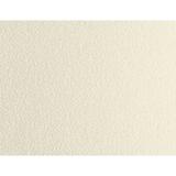 Stardream Metallics Opal 81# Text A1 Envelope-100 envelopes Limited PapersTM Brand