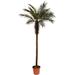 Northlight Seasonal 8' Decorative Potted Artificial Brown & Green Phoenix Palm Tree Plastic | 96 H x 60 W x 60 D in | Wayfair 32036896