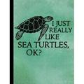 Sea Turtle Compositions: I Just Really Like Sea Turtles Composition Notebook - 5x5 Quad Rule: Composition Notebook 5x5 Quad Rule Graph Paper for School / Work / Journaling (Paperback)