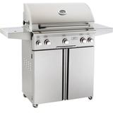 R. H. Peterson American Outdoor Grill 30 inch T Series Stand Alone Gas Grill
