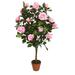 Northlight Seasonal 47" Potted Green & Pink Artificial Rose Garden Tree Plastic | 44.25 H x 27 W x 22 D in | Wayfair 32036869