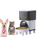 Onewell Automatic Feeder Plastic (affordable option)/Metal/Stainless Steel (easy to clean) in Gray, Size 15.0 H x 6.5 W x 11.0 D in | Wayfair