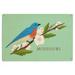 Missouri State Bird and Flower Collection Bird on Branch Birch Wood Wall Sign (6x9 Rustic Home Decor Ready to Hang Art)