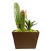 Primrue 3 - Piece Artificial Cactus Succulent in Planter Set Plastic/Metal | 22 H x 12 W x 12 D in | Wayfair AAB29CD31BA74AC2B7518C29D88D8783