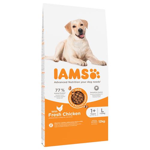 12kg IAMS Advanced Nutrition Adult Large Dog mit Huhn Hundefutter trocken