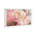 Oliver Gal Pink Peonies Floral Garden - Floater Frame Graphic Art on Paper Metal in White | 32 H x 47 W x 1.75 D in | Wayfair