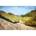 Highland Dunes Lake Michigan Coastal Dune Path - Wrapped Canvas Print Canvas in Green | 20 H x 30 W x 1.25 D in | Wayfair