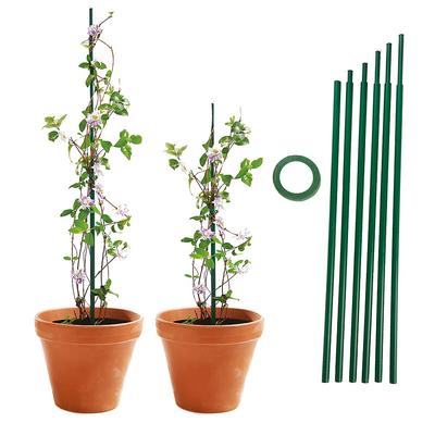 Extending Plant Supports 6 Pack - Buy 2 Get 1 Free