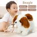 Holiday fashion VANLOFE Plush Toy Model Toy Aged 1 And UP New Smart Dog Plush Toy Electric Plush Robot Dog Toddler Toy For Christmas Gift