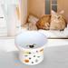 Pet Feeder Waterer Snack Bowl Anti Slip Pet Bowls Porcelain Pet Feeding Bowl Protection Cervical Dog Bowl Raised Cat Bowl for Kitten Paw Food Bowl