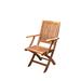 SHINYOK Folding Teak Patio Dining Armchair Wood in Brown | 37.8 H x 22.83 W x 24.02 D in | Wayfair 03xks6157FEGO015XBH