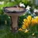 Clearanceï¼�Resin Bird Bath Bowl for Garden Brown Pedestal Handmade Bird Bath for Outdoors Standing Resin Bird Feeders Bird Bath Bowl Garden Yard Statue Ornament Simulation Outdoor Decoration