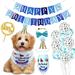 HAWEE Dog Birthday Bandana Girl Banner Balloon Kit Pet Birthday Party Supplies Crown Hat Scarf Happy Birthday Banner Dog Girl Birthday Outfit for Pet Puppy