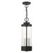 Livex Lighting - Hillcrest - 3 Light Outdoor Pendant Lantern in Coastal Style -