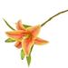 Farfi 1 Pc Fake Flower Charming Decorative Plastic Floral Arrangement Artificial Lily Flower Party Decor (Orange)