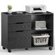 Wade Logan Greenmont 3-Drawer Mobile Lateral Filing Cabinet Wood in Black | 24.5 H x 31.3 W x 15.7 D in | Wayfair C0412CCB9791495F958A21F5F042BB41