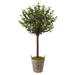 4.5' Olive Topiary Artificial Tree in Wooden Barrel Planter