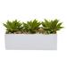 13" Agave Succulent Artificial Plant in Rectangular Planter