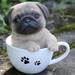 Hi-Line Gift Teacup Pug Puppy Statue/ Figurine
