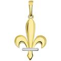 14k Yellow Gold Polished Two-Tone Fleur de Lis Bosnian Pendant