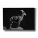 Millwood Pines August Grove® 'Bighorn Portrait Cf' By Thomas Haney, Giclee Canvas Wall Art, 60"X40" Canvas in Black/Gray/White | Wayfair