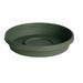 3PC Bloem Terratray 1.7 in. H Resin Traditional Tray Thyme Green