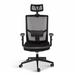 Inbox Zero Kwamane Mesh Task Chair Upholstered/Mesh/Metal in Black | 25.59 H x 28.35 W x 13.78 D in | Wayfair 77090403F3F84EBEA5EF8365B1BB5901
