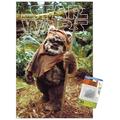 Star Wars: Return of the Jedi - Wicket W. Warrick Wall Poster with Push Pins 14.725 x 22.375