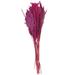 Primrue Dried Plant Floral & Botanical Artificial Foliage in Pink/Indigo | 35.43 H x 2.36 W x 0.59 D in | Wayfair D8DC9F0073424D6991655AE6751C213A