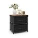 17 Stories 2 - Drawer Steel Nightstand in Black Wood/Metal in Black/Brown | 17 H x 16 W x 12 D in | Wayfair AC5E09EEC4D44EE9BA3E6EBFD057DFD0