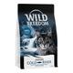 Wild Freedom Adult "Cold River" Sterilised Lachs - getreidefreie Rezeptur - Sparpaket: 2 x 6,5 kg