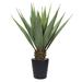 Primrue Coles 38" Faux Agave Plant in Pot Plastic | 38 H x 28 W x 28 D in | Wayfair B1A2F6EB1E424C0D8D37EC86BD9D8058