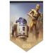 WinCraft R2-D2 & C-3PO Star Wars 17" x 26" Premium Banner