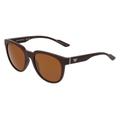 Emporio Armani EA 4205 Herren-Sonnenbrille Vollrand Panto Kunststoff-Gestell, braun