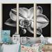 Latitude Run® Luminous Orchid w/ Purple Glow VII - Floral Orchid Canvas Wall Art Set Metal in White | 32 H x 48 W x 1 D in | Wayfair