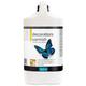 Polyvine - Decorators Varnish - Gloss - 4 Litre