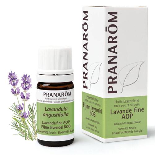 Pranarom Fijne Lavendel BOB Essentiele Olie 5 ml Ätherisches Öl