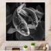 Bay Isle Home™ Monochrome Koi Fish - Animal Fish Metal Wall Décor Metal in Gray | 29 H x 29 W x 1 D in | Wayfair E977FE27761547D1A9680700ECAEA058