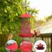 SDJMa Bird Feeder for Outdoors Hanging 3 Tier Retractable Squirrel Proof Metal Bird Feeders for Outside Wild Bird Feeders Large Capacity 360Â° All-Round Hanging Bird Feeder for Sparrow